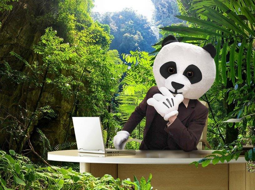 How to Make A New House Feel Like A Home Go Panda Removals